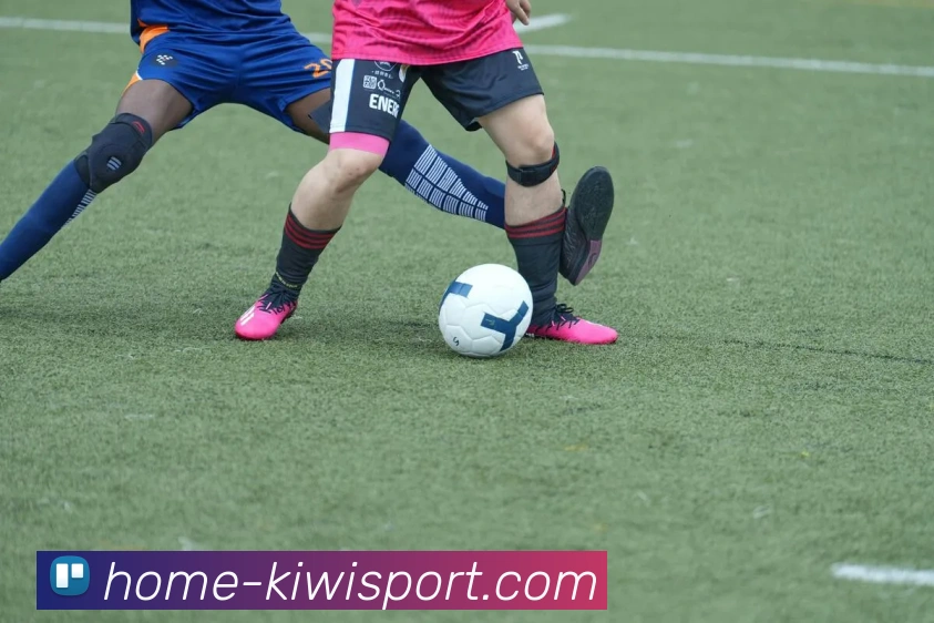 奇异果体育平台生态图